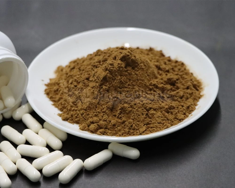 Gymnema Sylvestre Extract powder high quality