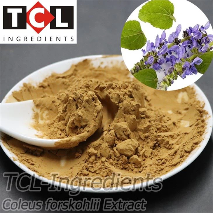 Coleus Forskohlii þykkni